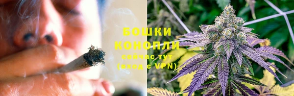 крисы Верхний Тагил