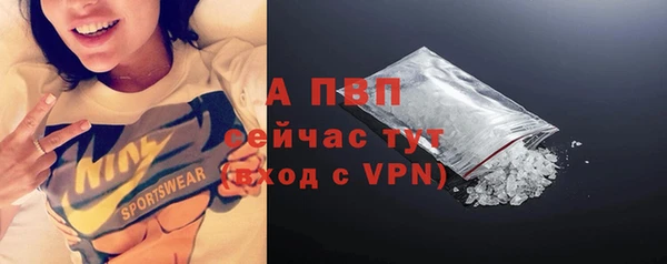 крисы Верхний Тагил