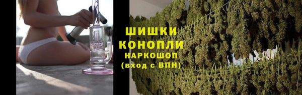 крисы Верхний Тагил