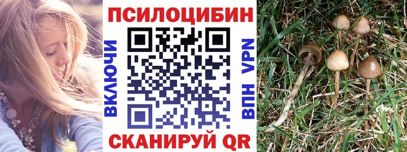 Псилоцибиновые грибы прущие грибы  Энем 